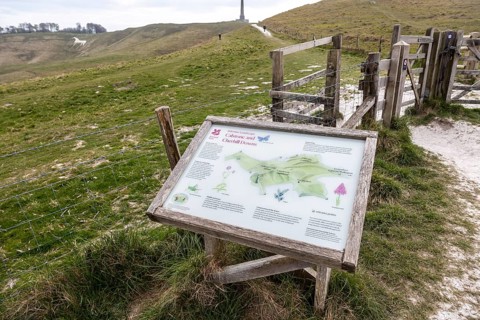 National Trust information board white horse chalk figure, Lansdowne monument, Cherhill Down,