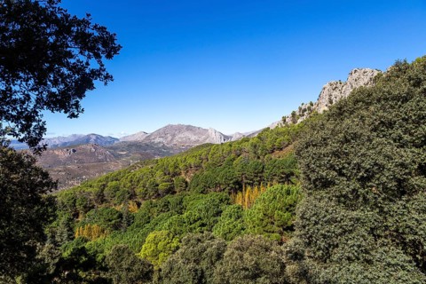 Ruta Botanica waking route from Area Recreativa El Alcazar, Sierra Tejeda natural park, Alcaucin,