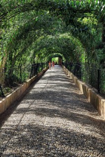 Green tunnel, walker on footpath with canopy, Generalife Gardens, Alhambra, Granada, Spain, Europe