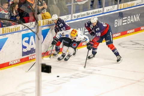 Game scene Adler Mannheim against Fischtown Pinguins Bremerhaven (PENNY DEL, German Ice Hockey