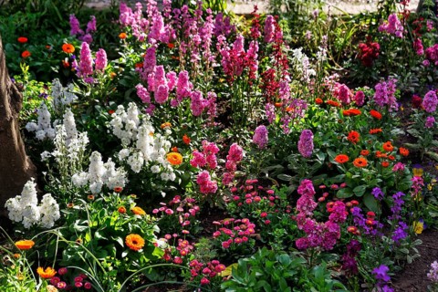 Splendour of flowers in spring, gardens, arabic, islamic, oriental, light and shade, Generalife