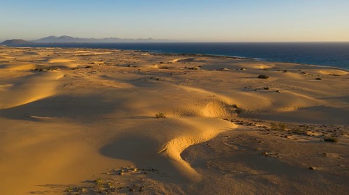 Sand dunes near Corralejo, shifting sand dunes, Fuerteventura, Canary Islands, Spain, Europe