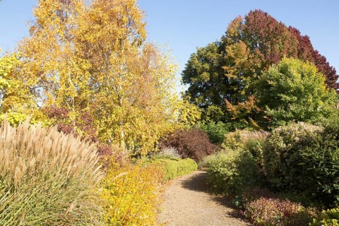 Path through trees autumn foliage leaf colour, near Framfield House, Woodbridge, Suffolk, England,