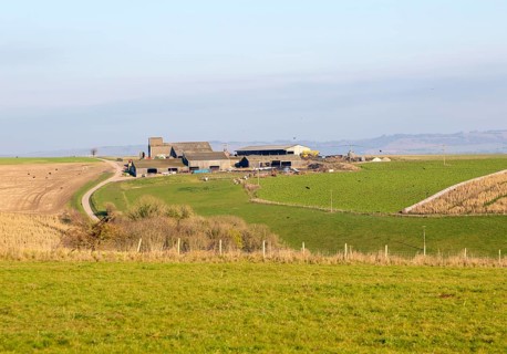 Hilltop farm buildings in chalk landscape, Casterley Barn, Salisbury Plain, Wiltshire, England, UK