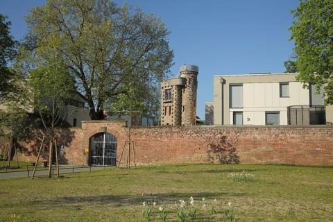 Historic city fortification Fort Stahlberg, tower, upper town, Mainz, Rhine-Hesse region,