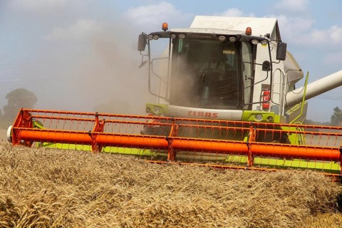 Grain harvest near Hockenheim, Baden-Wuerttemberg