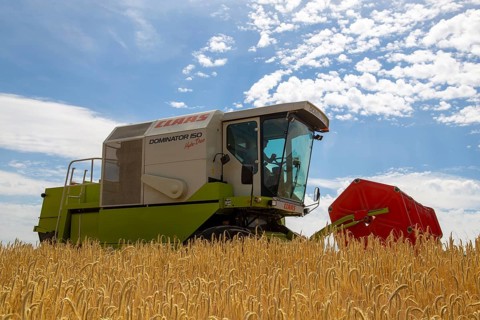 Grain harvest in the district of Bad Duerkheim (Rhineland-Palatinate)