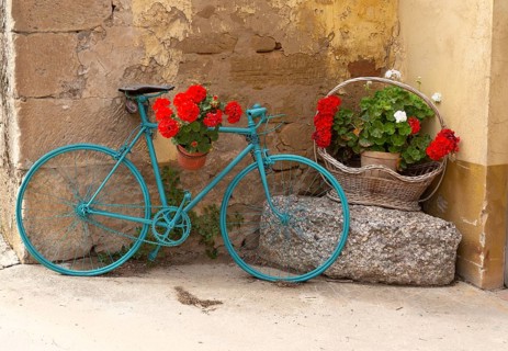 Old bicycle painted blue with red geranium flowers in pots, San Asensio, La Rioja Alta, Spain,
