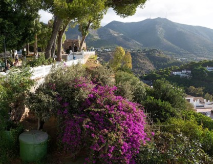 Purple bougainvillea flowering on hilsside, Mijas, Costa del Sol, Malaga province, Andalusia,