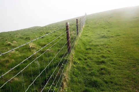 Barbed wire fence in fog on chalk downs near Knap Hill, Alton Barnes, Wiltshire, England, UK