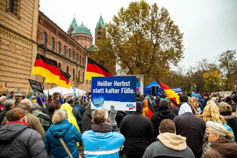 Speyer: An AfD rally took place under the motto Our country first . There were counter-protests
