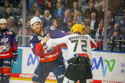 Adler Mannheim v Fischtown Pinguins Bremerhaven (PENNY DEL, German Ice Hockey League) : Fistfight