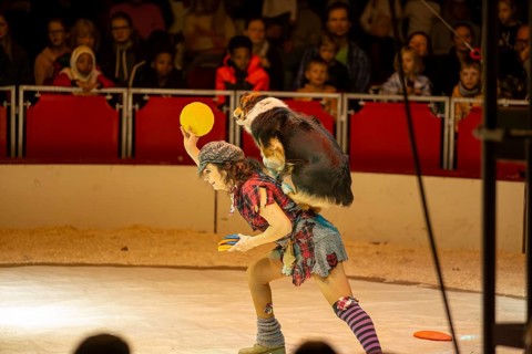 Ludwigshafen 24.12.2023: Performance of the Ludwigshafen Christmas Circus on Christmas Eve