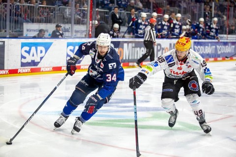 Game scene Adler Mannheim against Fischtown Pinguins Bremerhaven (PENNY DEL, German Ice Hockey