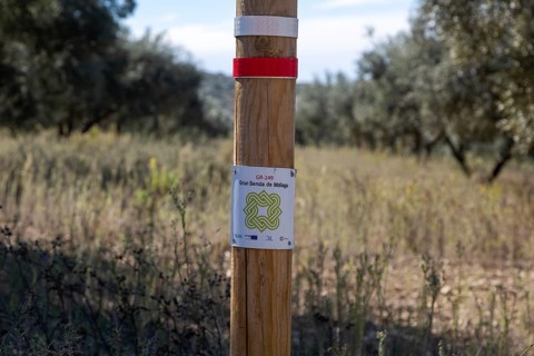 Signpost waymark for long distance footpath GR-249, Gran Senda de Malaga, Periana, Axarquia,