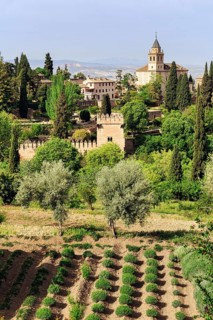 Generalife Gardens, historic gardens, Alhambra, Granada, Spain, Europe