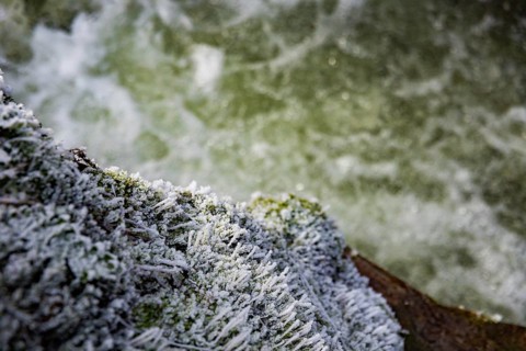 Severe frost has formed bizarre ice formations in the riverbed of the Gottleuba. Frozen spray