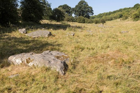 Sarsen stones lying in a boulder stream at Lockeridge Dene, near Marlborough, Wiltshire, England,