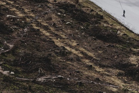 A skier uses a platter lift next to a deforested area, taken on a ski slope in the Jizera Mountains