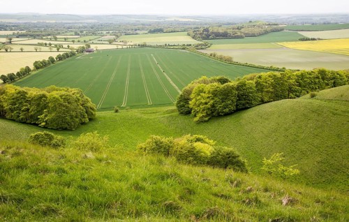 Chalk escarpment scarp slope, Pewsey Downs chalk grassland, Vale of Pewsey, Wiltshire, England, UK