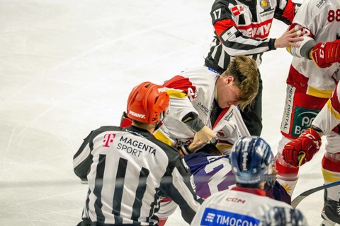 Scuffle at the game between Adler Mannheim and Duesseldorfer EG (PENNY DEL, Deutsche Eishockey