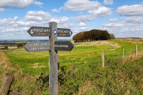 Ridgeway long distance footpath signpost on chalk scarp slope Hackpen Hill, Wiltshire, England, Uk
