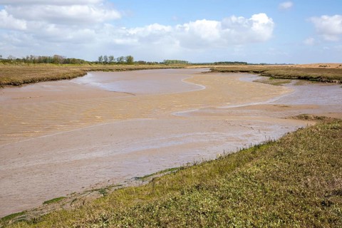 Barthorp's Creek a tidal tributary near the mouth of the River Ore at low tide, Hollesley, Suffolk,