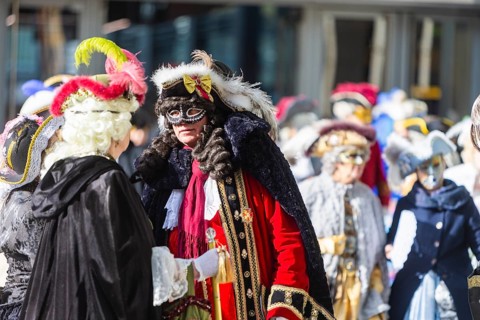 LUST & PASSION & JOY OF LIFE, for the joy of the masquerade, the Elbvenezian Carnival took place in
