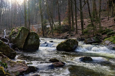 Severe frost has formed bizarre ice formations in the riverbed of the Gottleuba, Bergieshuebel,