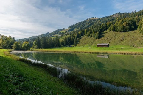 Alpine pasture at Lecknersee, humpback meadow, water reflection, municipality of Dornbirn,