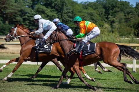 Race day at the racecourse in Hassloch, Palatinate. Prize of the Sparkasse Rhein-Haardt (Category