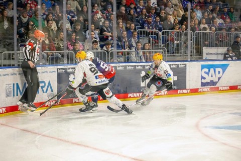 Game scene Adler Mannheim against Fischtown Pinguins Bremerhaven (PENNY DEL, German Ice Hockey