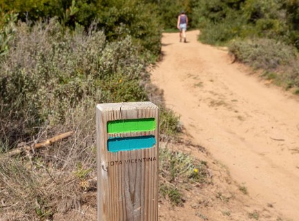 One woman walking in woodland on coastal long distance footpath trail, The Fisherman's Walk or Ruta