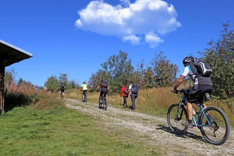 Mountain bike tour through the Bavarian Forest with the DAV Summit Club: Mountain bikers on the