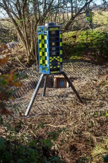 Eviction of badgers clearance of badger sett using metal fencing and one way exit gates, part of