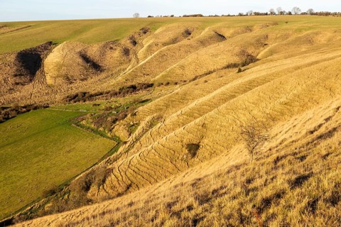 Ridges and dry valleys chalk scarp slope on Roundway Down, Wiltshire, England, UK