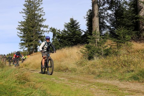 Mountain bike tour through the Bavarian Forest with the DAV Summit Club: Mountain bikers in the