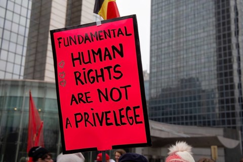 Brussels, 23 January: European demonstration for democracy, organised by the Europeans United