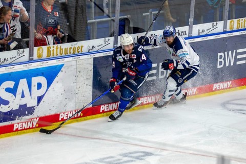 26.01.2024, DEL, German Ice Hockey League, Matchday 41) : Adler Mannheim against Iserlohn Roosters