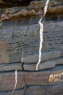 White veins of quartzite forming dykes crossing layers of metamorphosed sedimentary rock in the