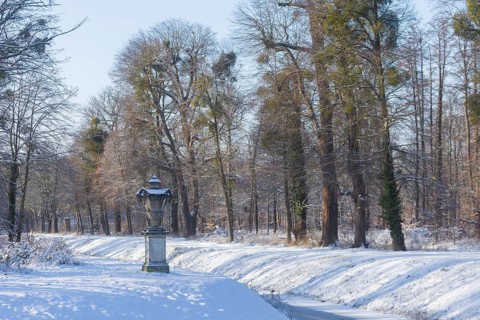 Canal with decorative vases, between the hunting lodge and the Fasanenschloesschen, Moritzburg,