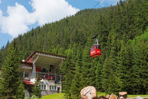 Cable car station in a green mountain landscape with a red cable car gondola surrounded by fir