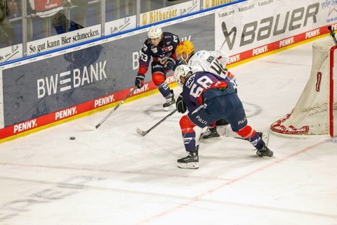 Game scene Adler Mannheim against Fischtown Pinguins Bremerhaven (PENNY DEL, German Ice Hockey