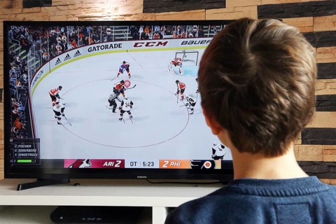 Boy plays ice hockey on the Playstation