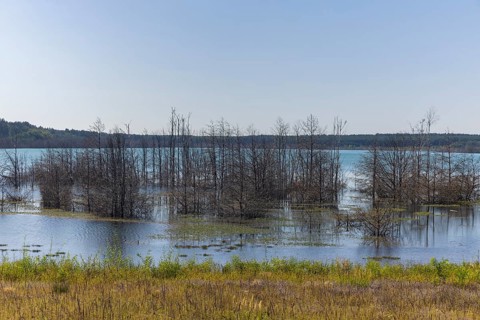 Lake Sedlitz is a lake in the Lusatian Lakeland chain of lakes and is located in the Brandenburg