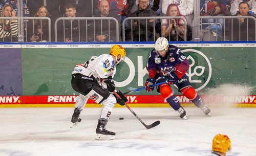 Game scene Adler Mannheim against Fischtown Pinguins Bremerhaven (PENNY DEL, German Ice Hockey