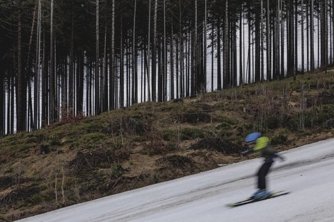 A skier skis on an artificially snow-covered and dirty slope, taken on a ski slope in the Jizera