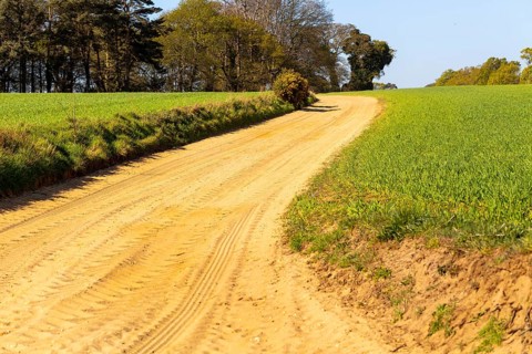 Sandy track in farmland of Suffolk Sandlings, Sutton Heath, Suffolk, England, UK