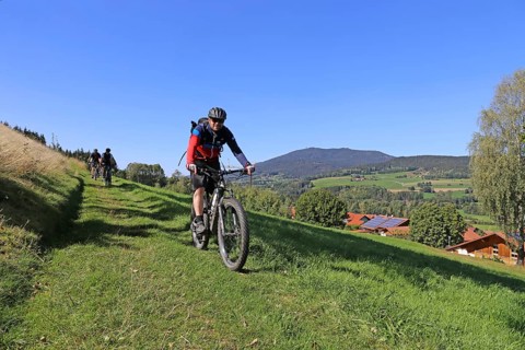 Mountain bike tour through the Bavarian Forest with the DAV Summit Club: Descent in a meadow paths