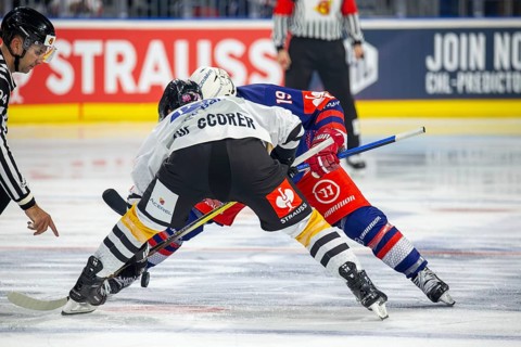Game scene Adler Mannheim against Rouen Dragons (Champions Hockey League)